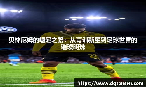 雷火竞技官方网站